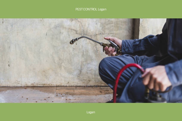 PEST CONTROL Logan